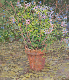 Francis Hamel, Geranium, 2025