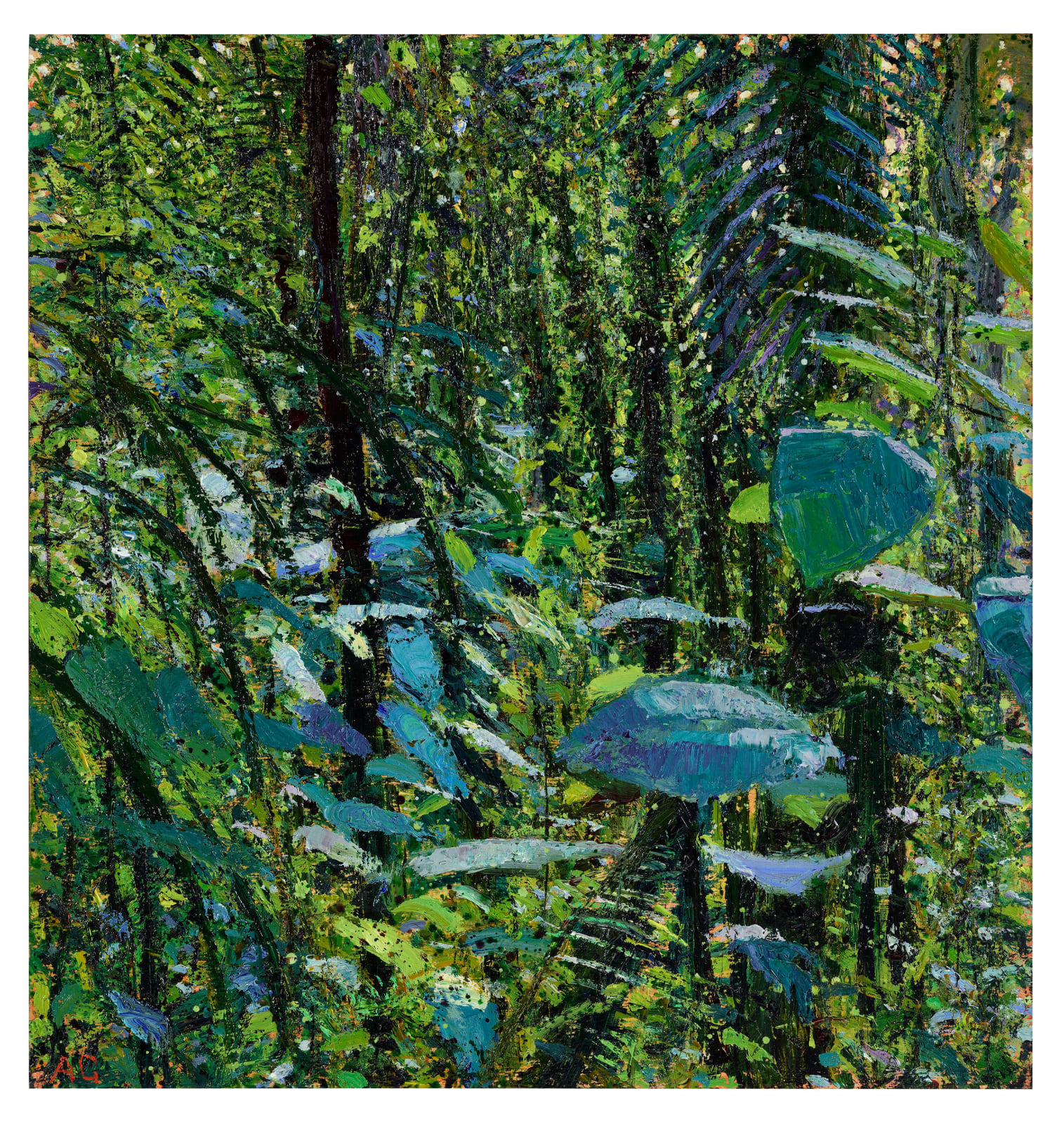 Andrew Gifford, Jungle after Rain, Arenal Volcano, 2025