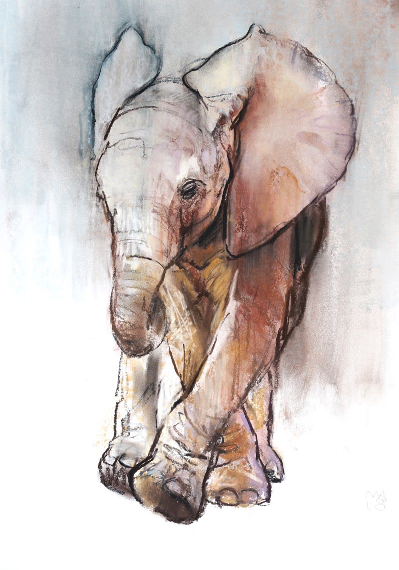 Mark Adlington, Baby Elephant II, Loisaba, 2018