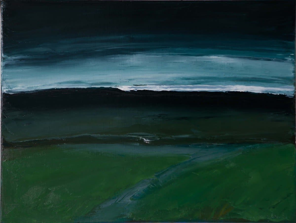 Seán Mcsweeney, Fields to the Sea, 2011