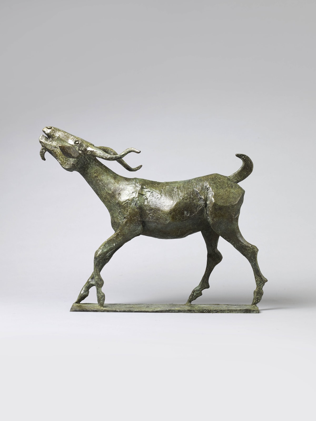 Olivia Musgrave, Dionysus's Goat, 2019