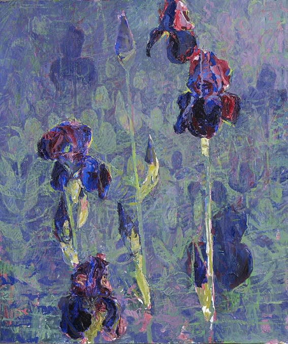 Francis Hamel, Irises, May 2013