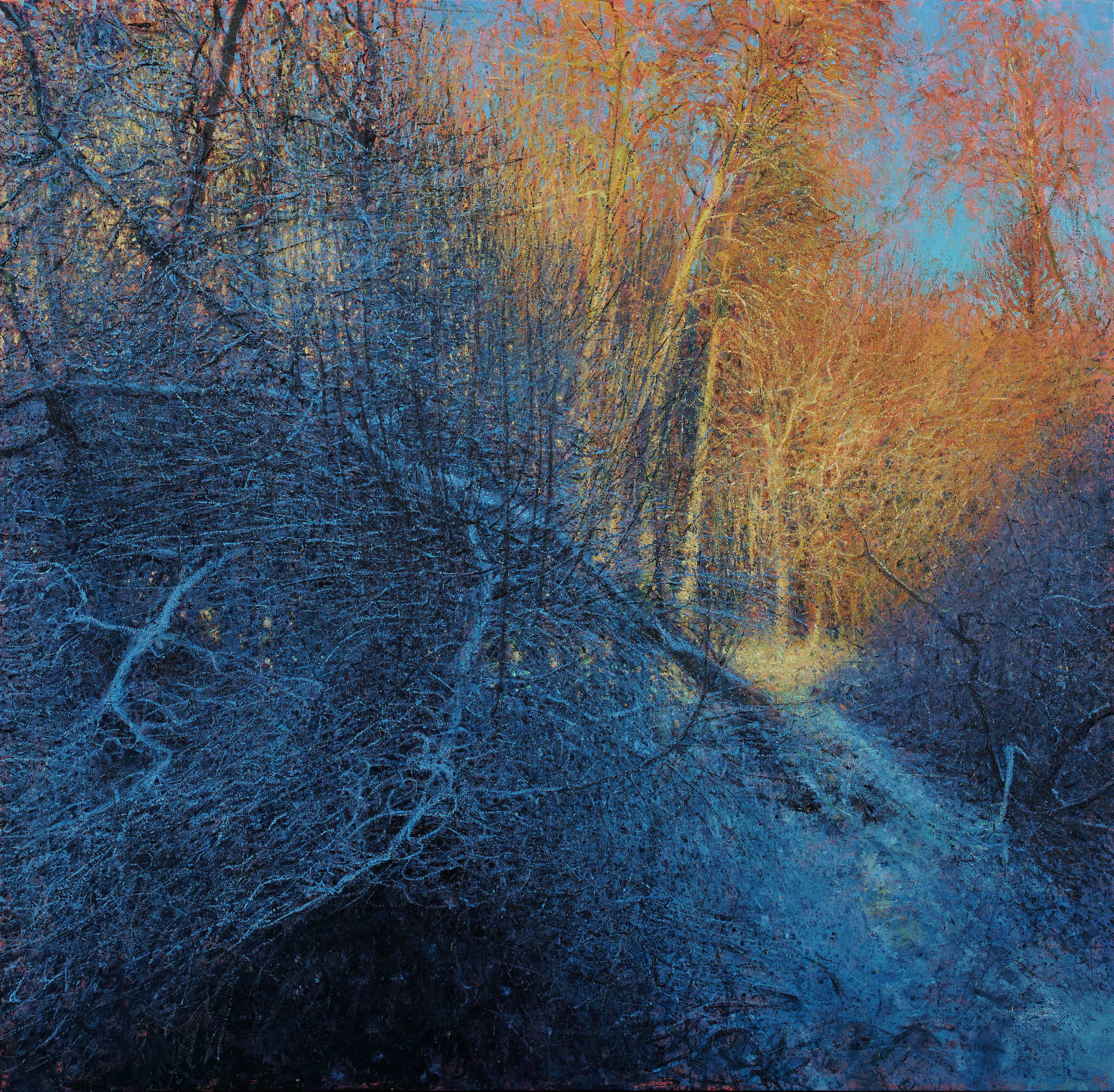 Andrew Gifford, Early Morning Light with Frost, Glen Tanar Estate II, 2022
