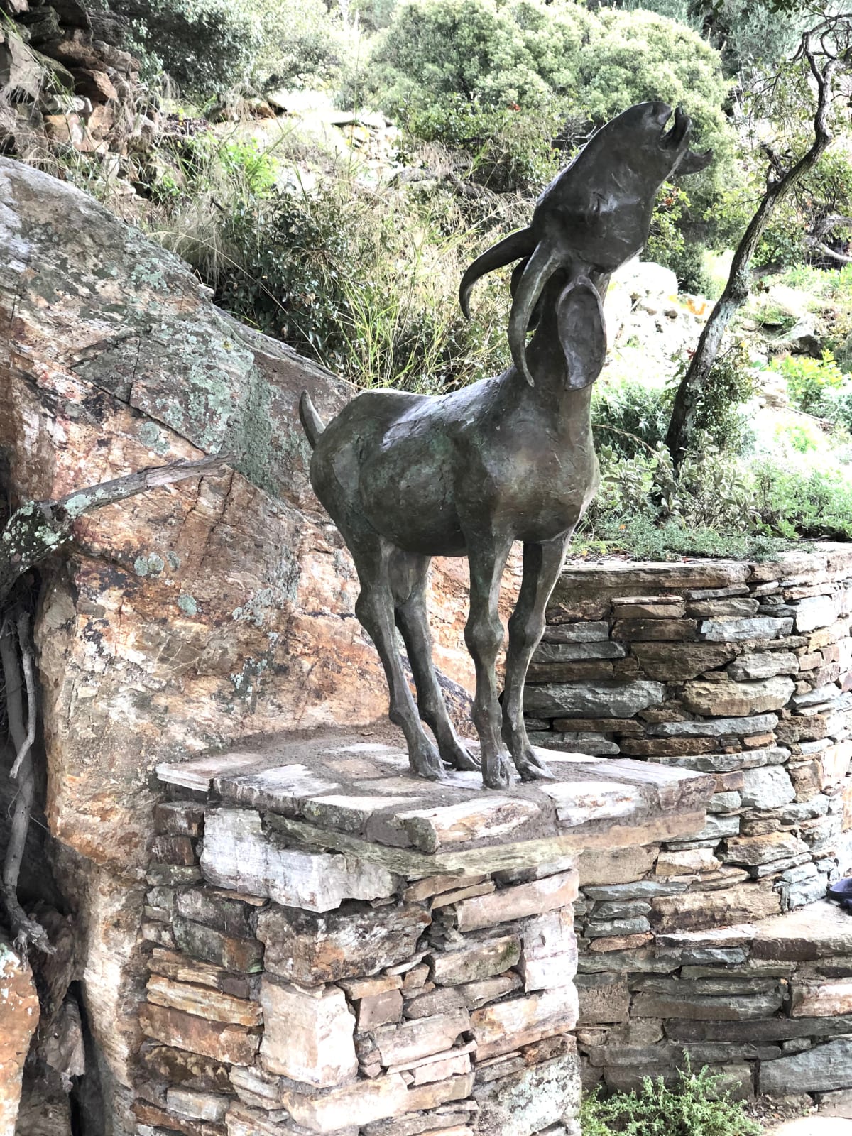 Olivia Musgrave, The Andros Goat, 2019