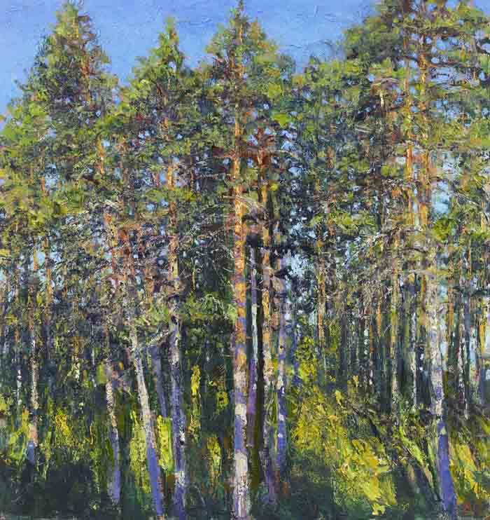 Andrew Gifford, Native Pines in Sunlight Early morning, 2019