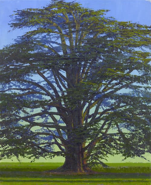 Francis Hamel, Cedar, Middleton Park, 2017