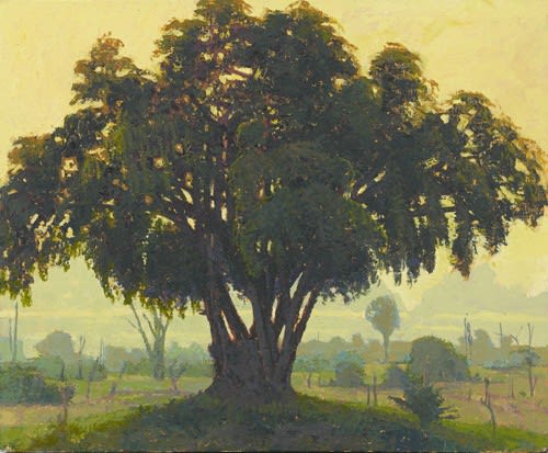Francis Hamel, Tamarind with Termite Mound, Zebra Loop, South Luangwa, 2017