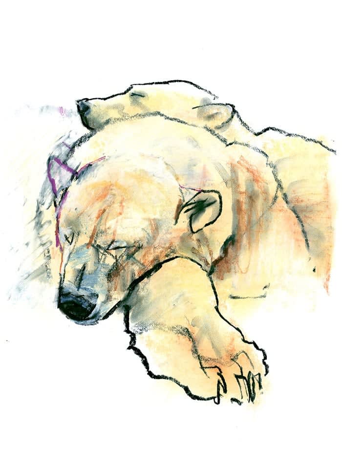 Mark Adlington, Pillow, 2016