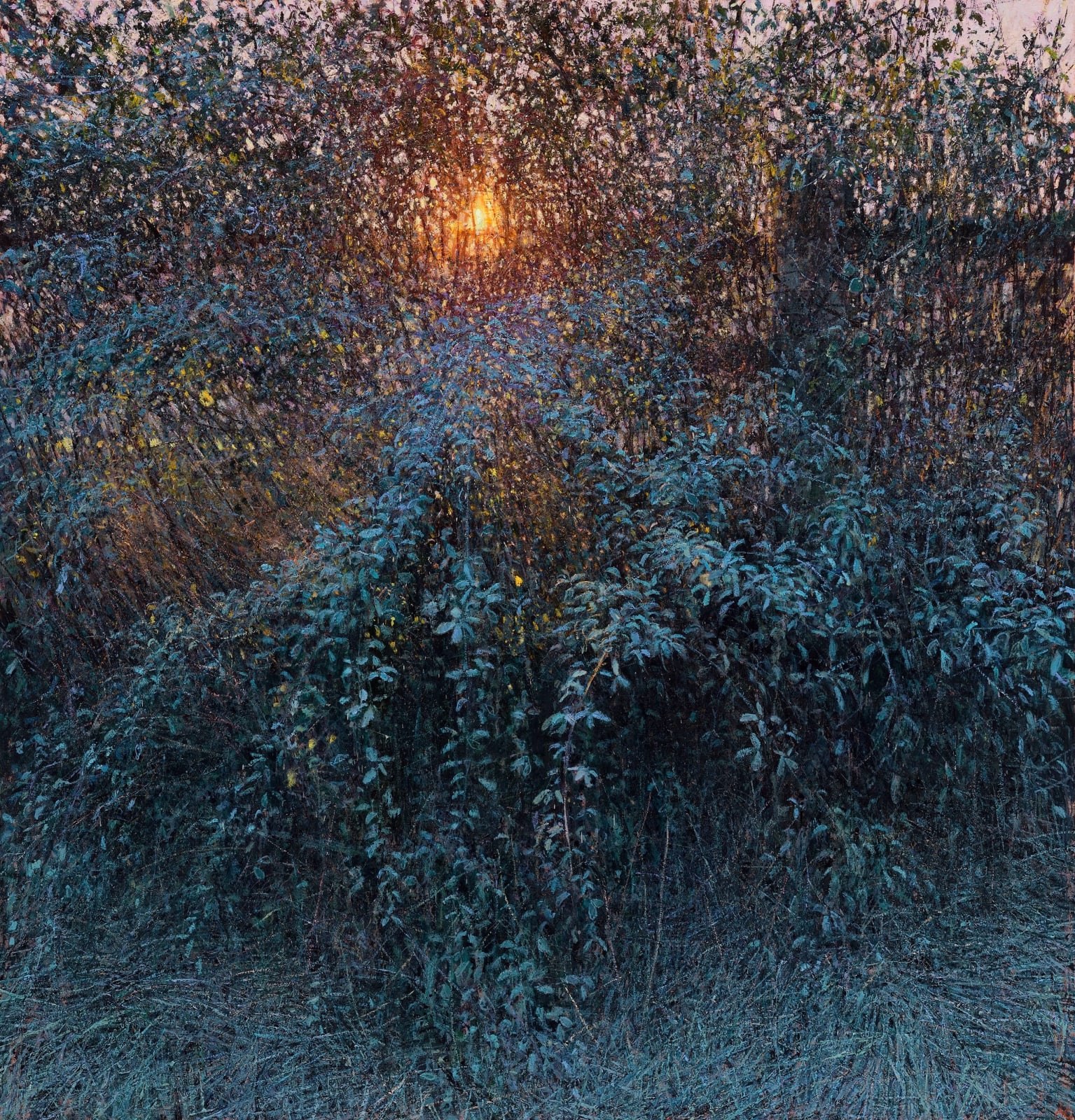 Andrew Gifford, 10. Frost on Bramble Hedge, Barcombe Mills I, 2024