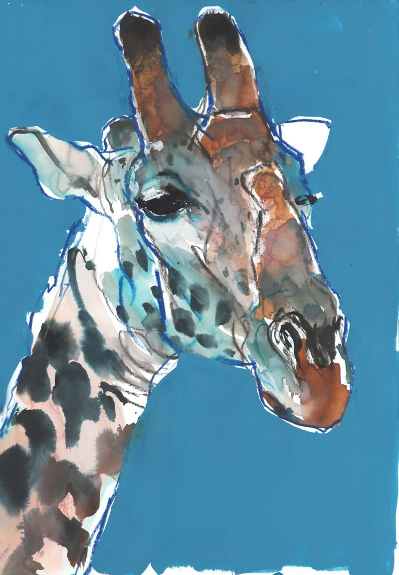 Mark Adlington, Blue Masai Giraffe, Chyulus, 2018