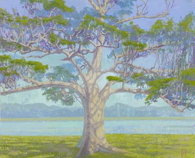 Francis Hamel, White Tree, Udawalawe, Sri Lanka, 2017