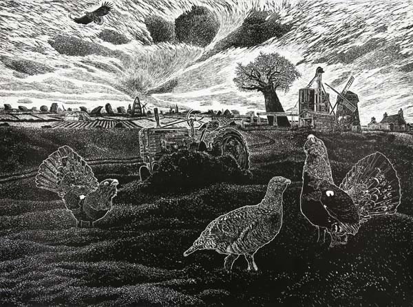 Ade Adesina, Peace, Ed of 30, 2015