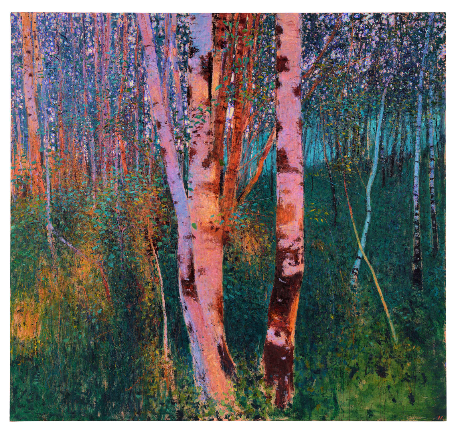 Andrew Gifford, 45. Late Summer Light on Alders and Birch, near Oban, West Highlands II, 2024/25
