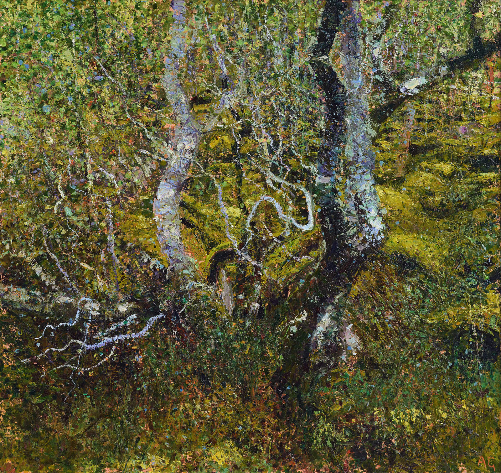 Andrew Gifford, 29. Twisted Oak at Acharacle, 2024