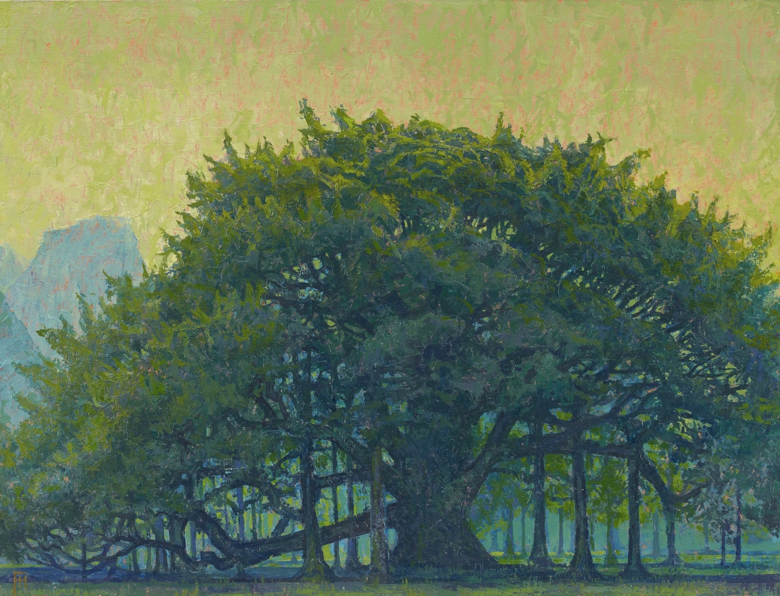 Francis Hamel, Thousand Year-Old Banyan Tree, Yangshuo, Guilin, 2019 - 2020