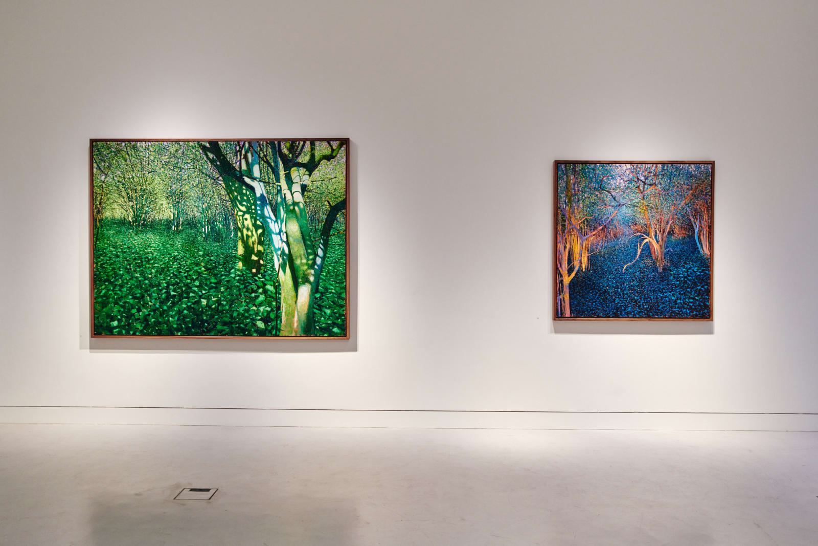 Andrew Gifford, 13. Hazels and Ivy, Dorset, 2023