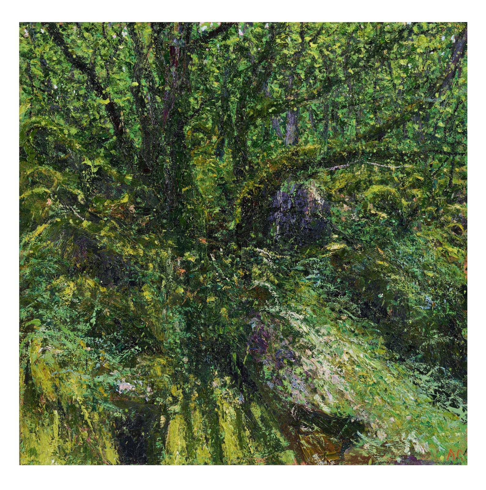 Andrew Gifford, 14. Boulders and Tree, Dart Valley, 2024