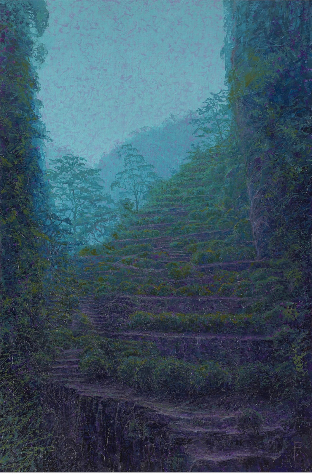 Francis Hamel, Terraced Tea Plantation, Wuyishan, 2019 - 2020
