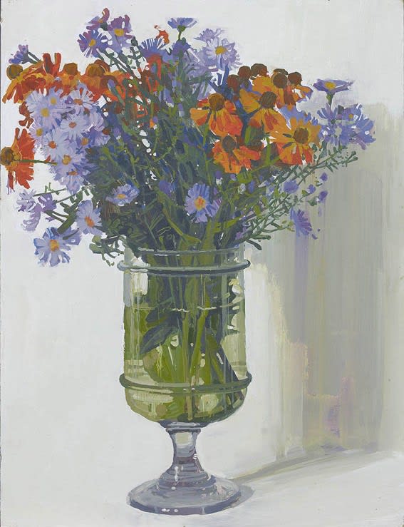 Francis Hamel, Michaelmas Daisies and Echinacea, October 2009