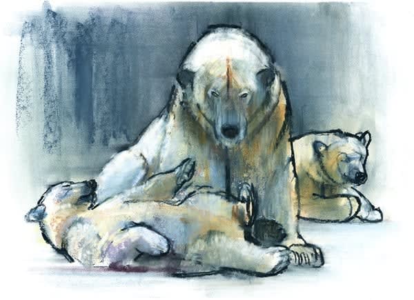 Mark Adlington, Guardian, 2016