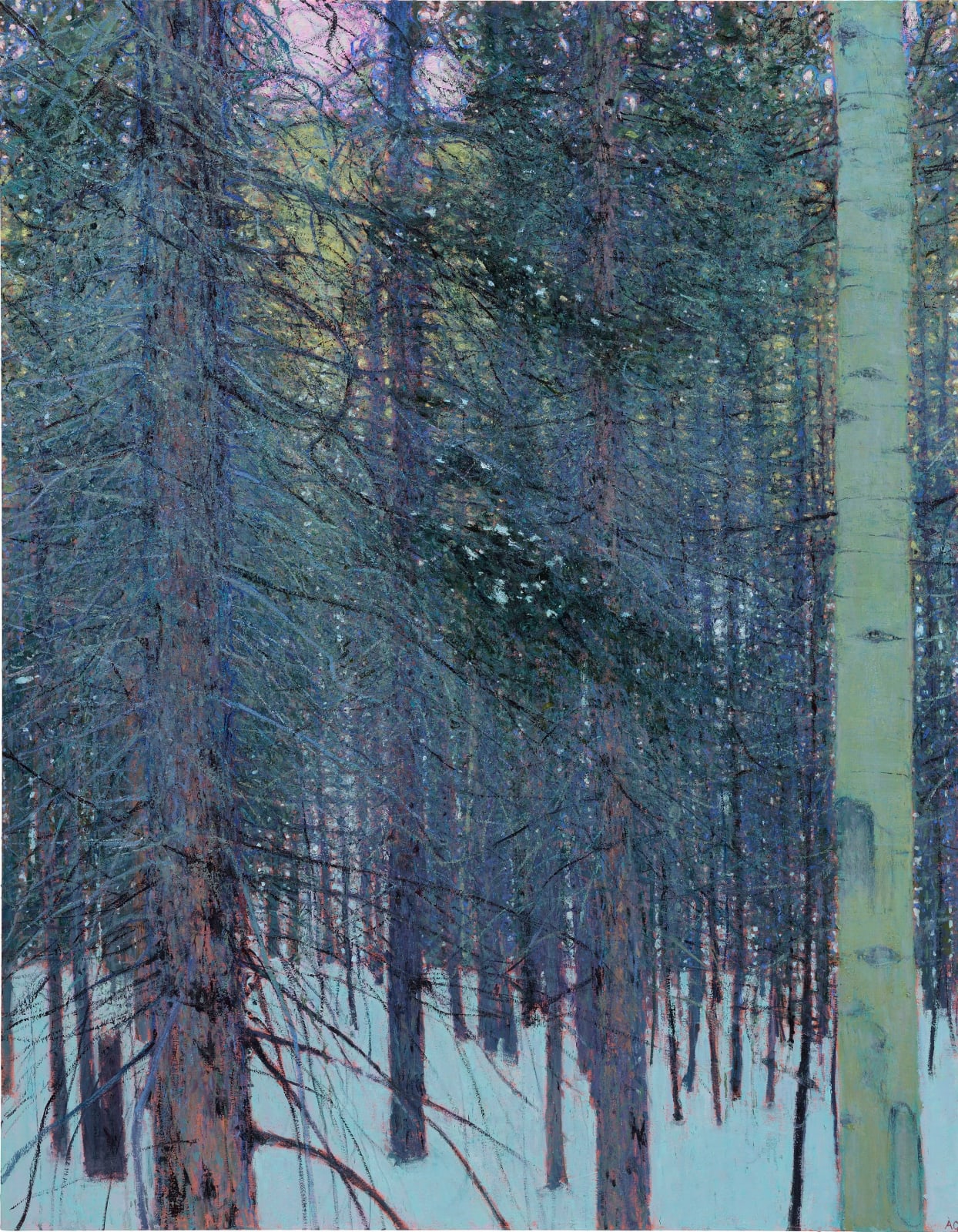 Andrew Gifford, 16. Pine and Aspen in The Rockies, Colorado I, 2023