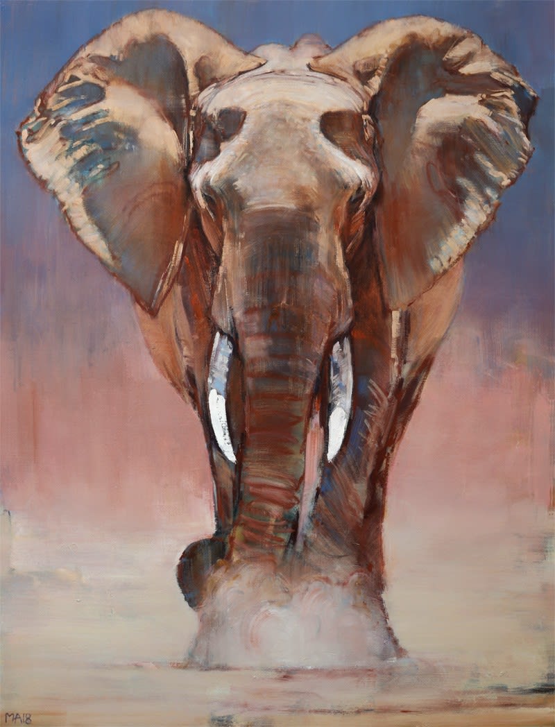 Mark Adlington, Dust Bath, Loisaba, 2018