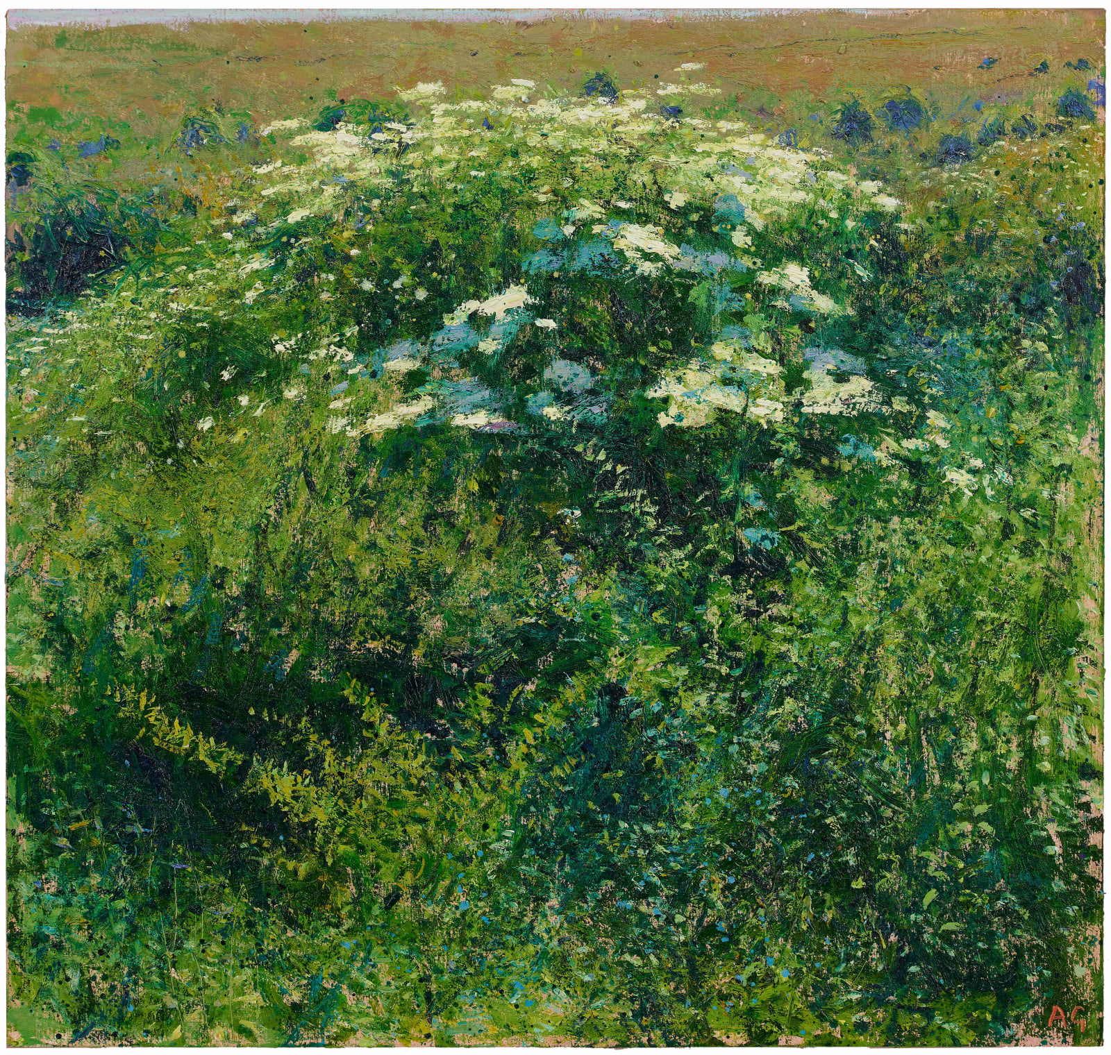 Andrew Gifford, 36. Elder and Small Hawthorne Sheepcote Valley, Sussex, 2022