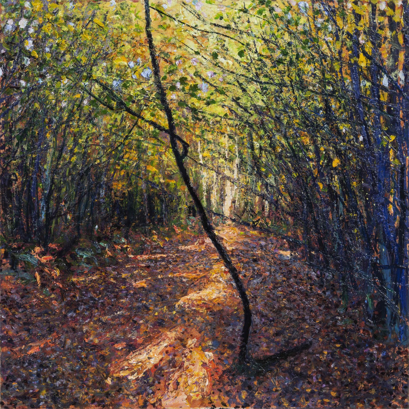 Andrew Gifford, Path through the Wood October, 2020