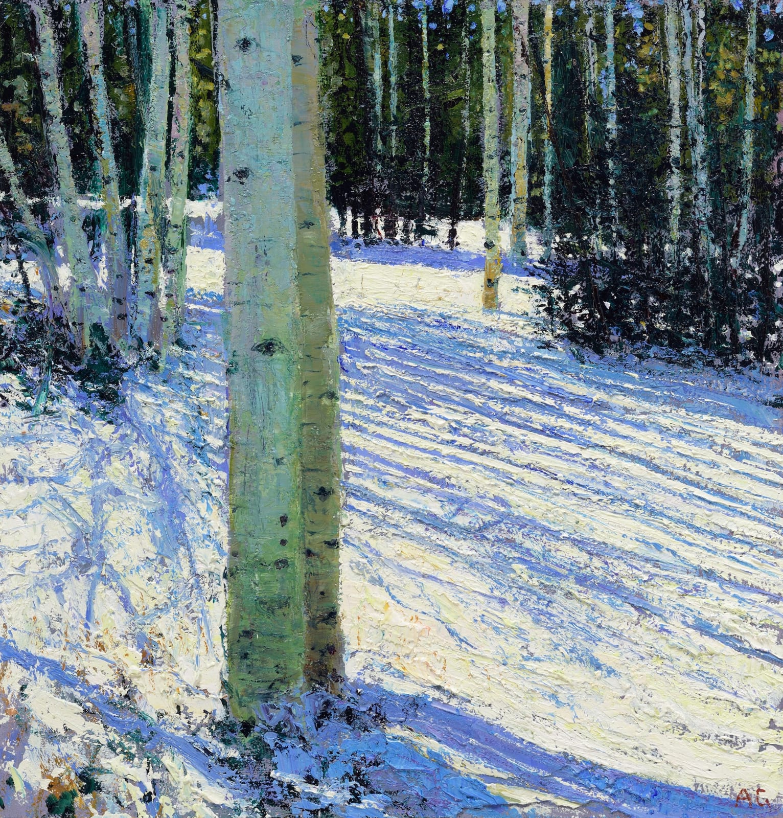 Andrew Gifford, 19. Aspens in Snow, Colorado – Bright Winter Sunlight, 2023