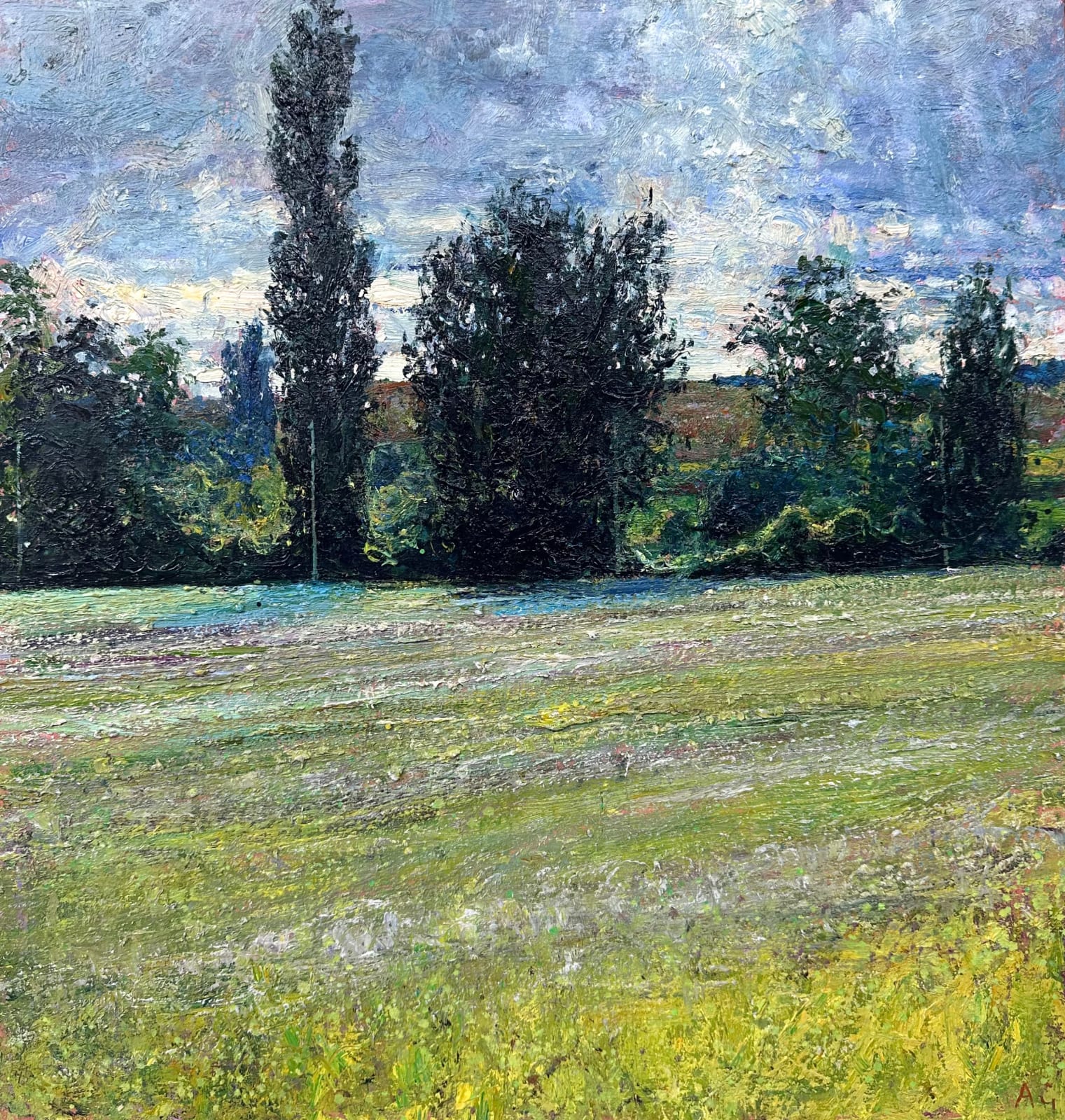 Andrew Gifford, Coriander Field, Dordogne, August, 2023