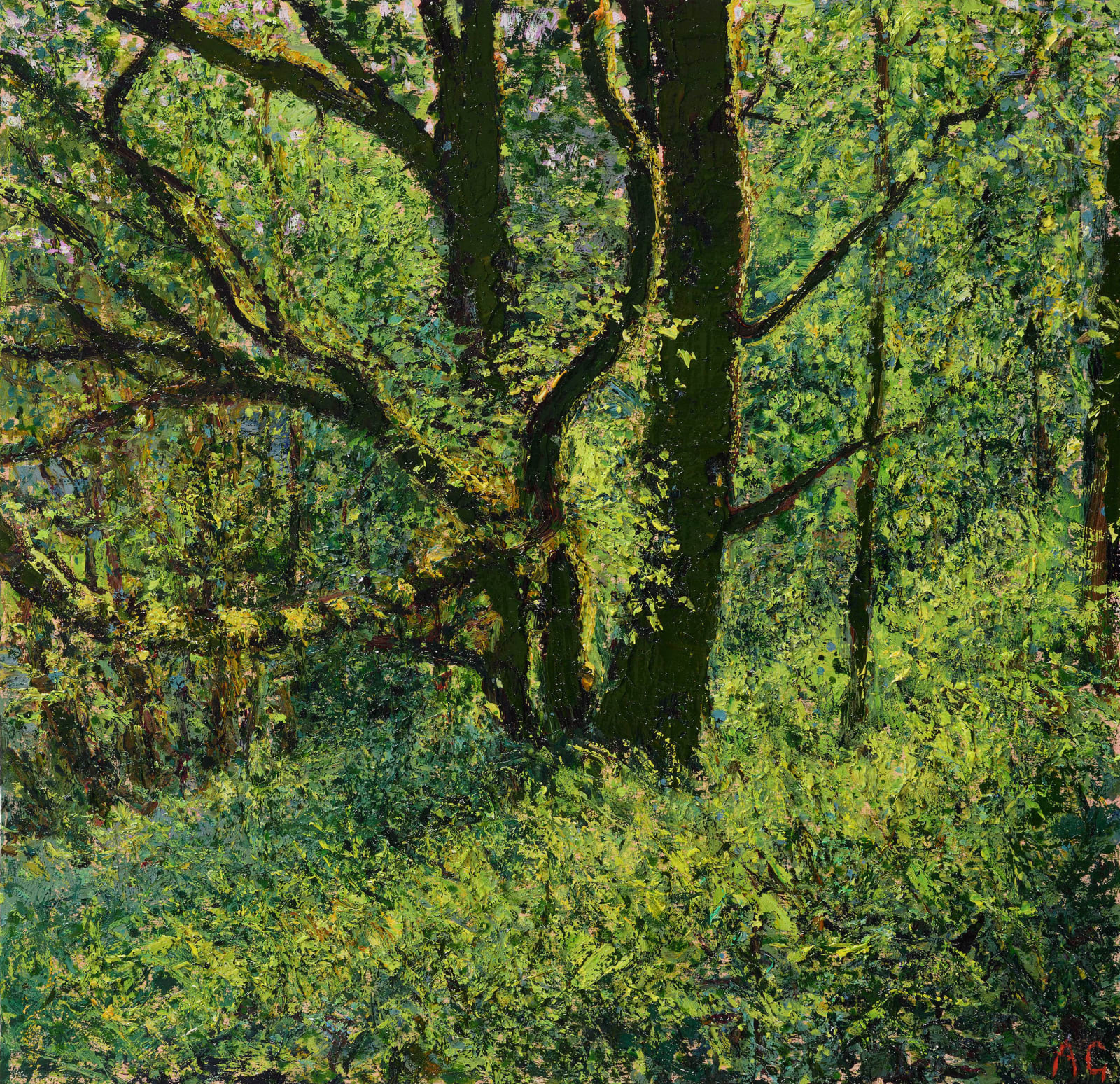 Andrew Gifford, 79. Evening Light Blaenau Ffestiniog, Rhyd Y Sarnl, 2025