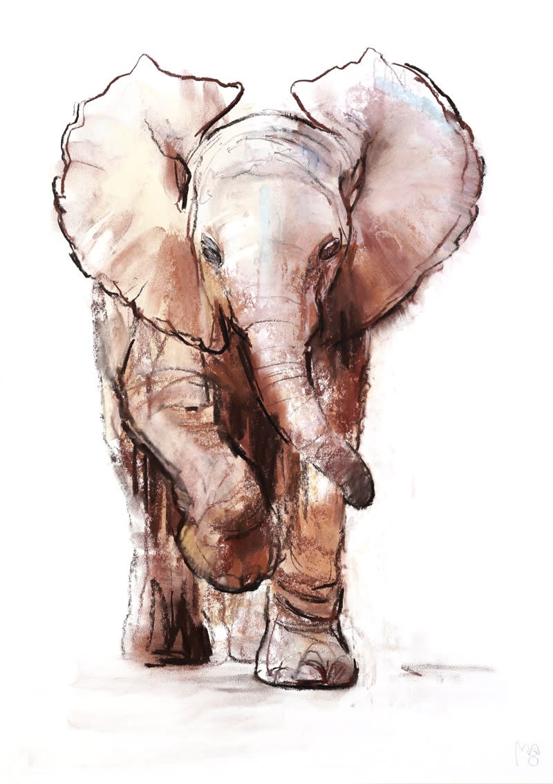 Mark Adlington, Baby Elephant I, Loisaba, 2018