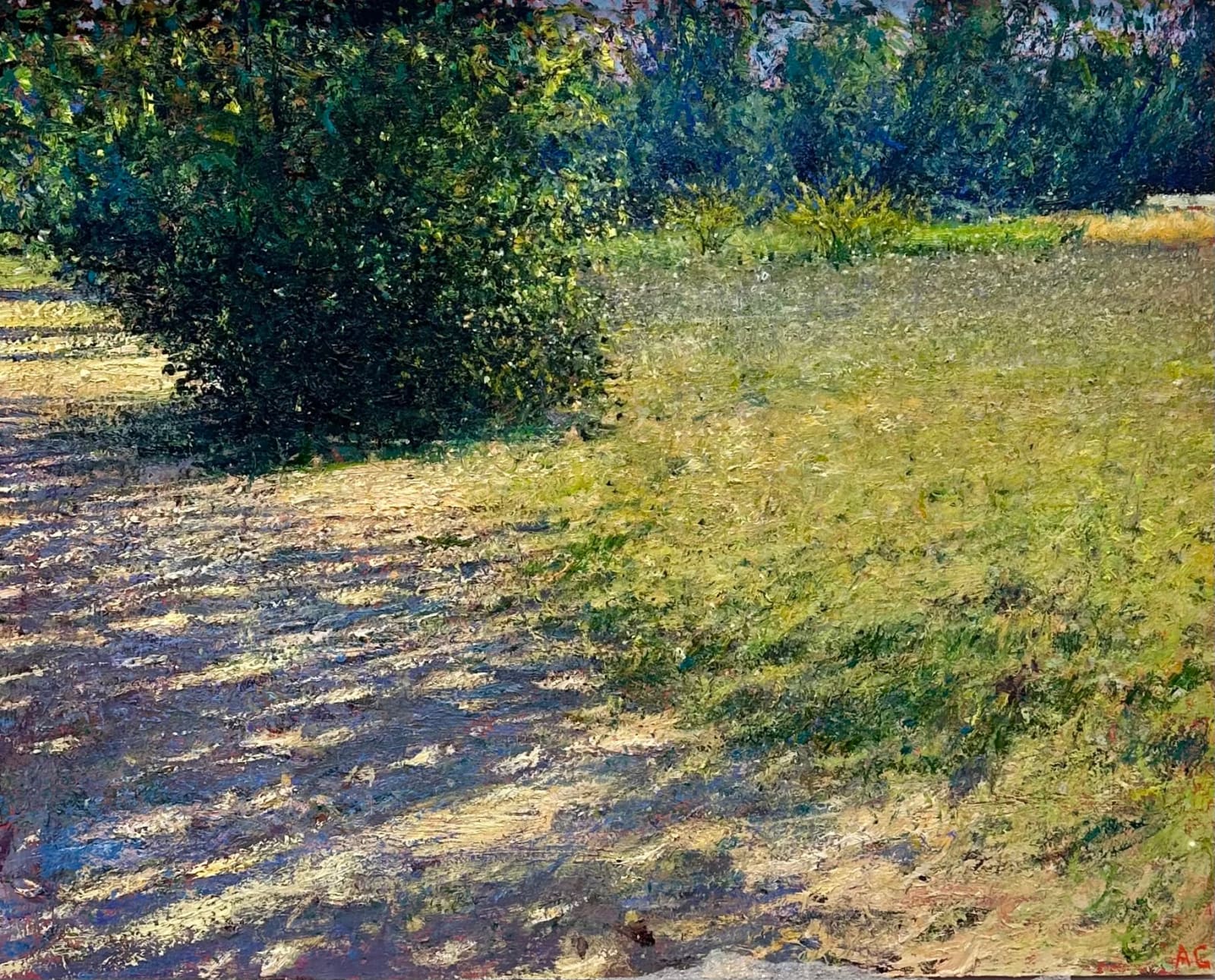 Andrew Gifford, Field Track, August, 2023