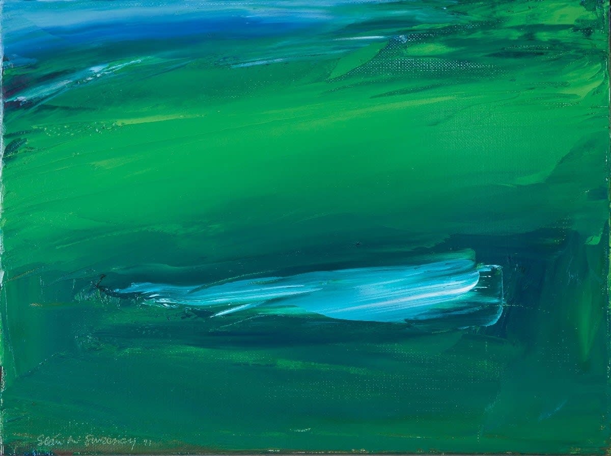 Seán Mcsweeney, The Pool, 2011