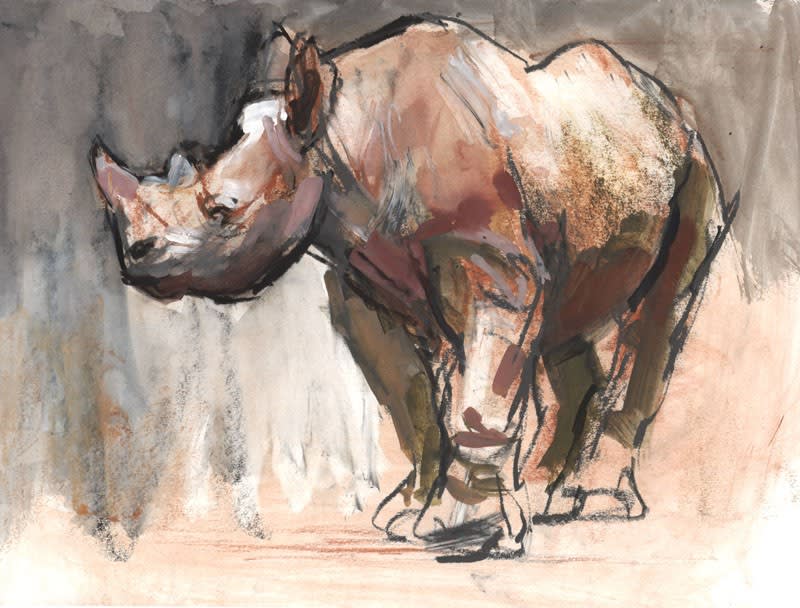 Mark Adlington, Young Black Rhino, Sarara, 2018