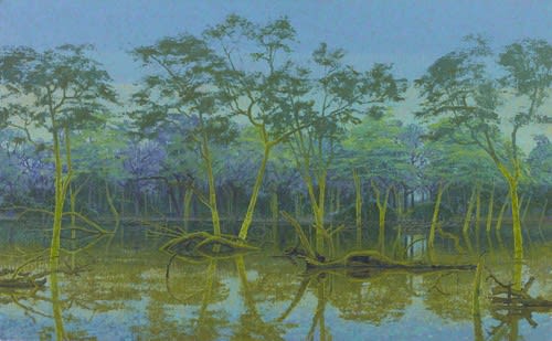 Francis Hamel, 1. The Flooded Fever Tree Forest, Northern Kruger, South Africa, 2017