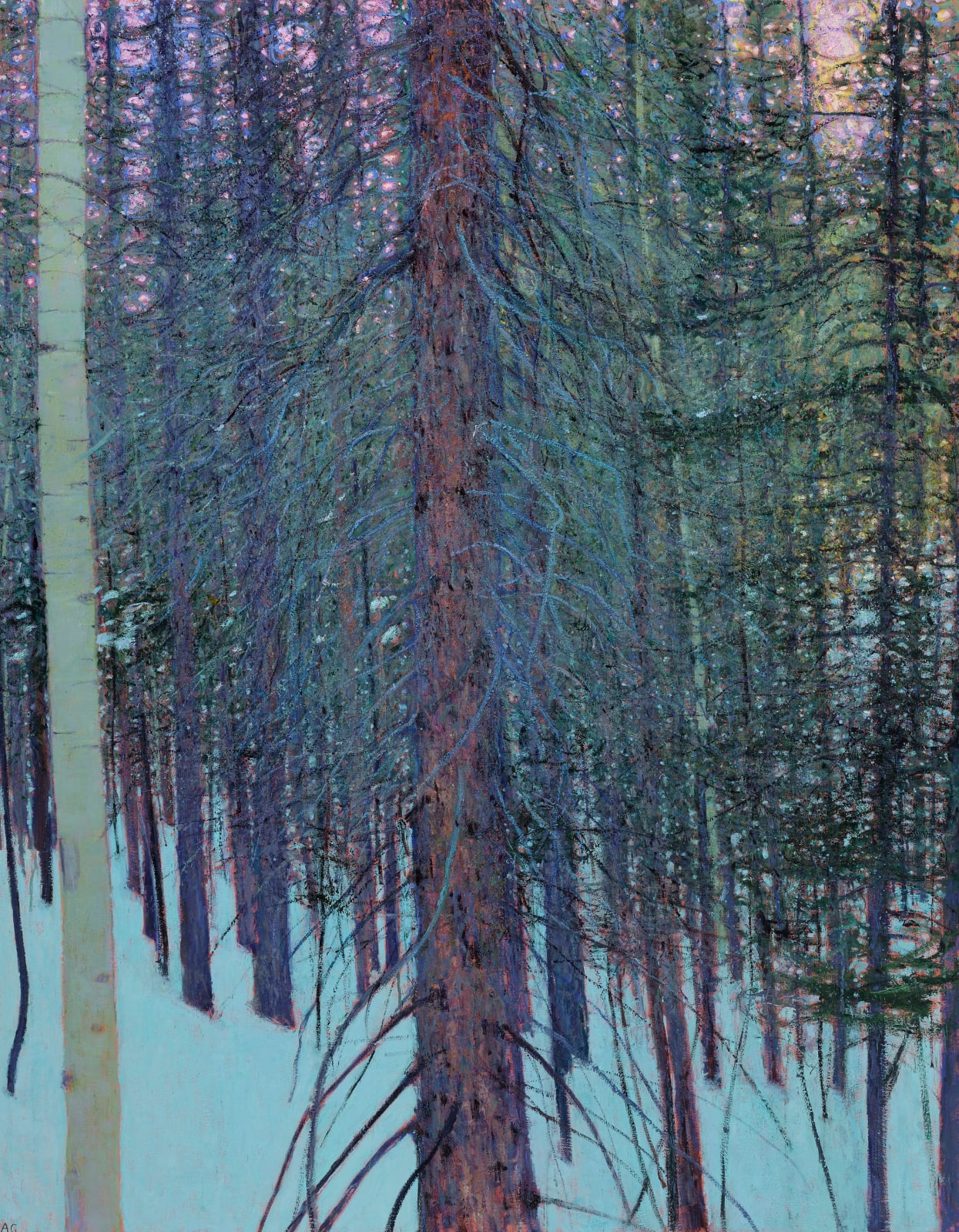 Andrew Gifford, Pine and Aspen in The Rockies, Colorado II, 2024