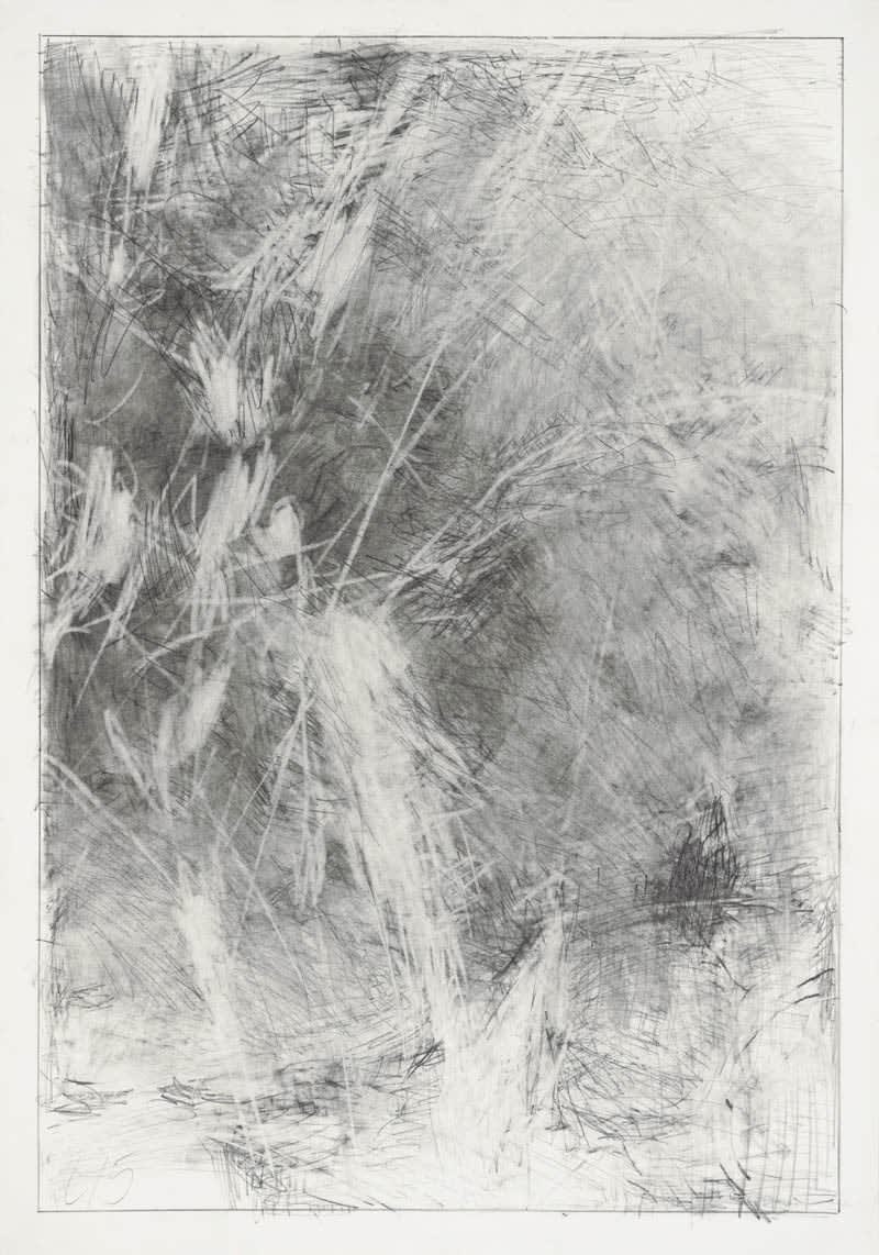 Mario Lobedan, Untitled XXIII, 2015