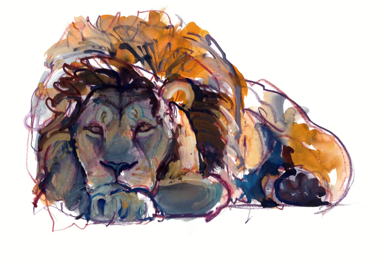 Mark Adlington, Lion