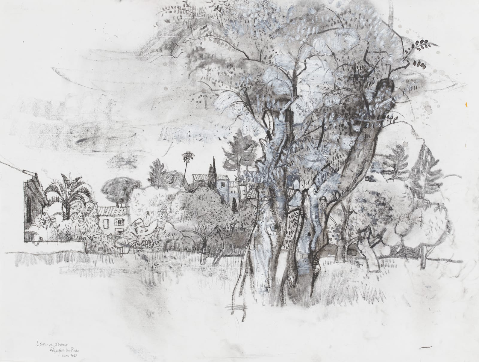Old Olive Tree, Roquefort-les-pins, 2021 by artist Leon Morrocco