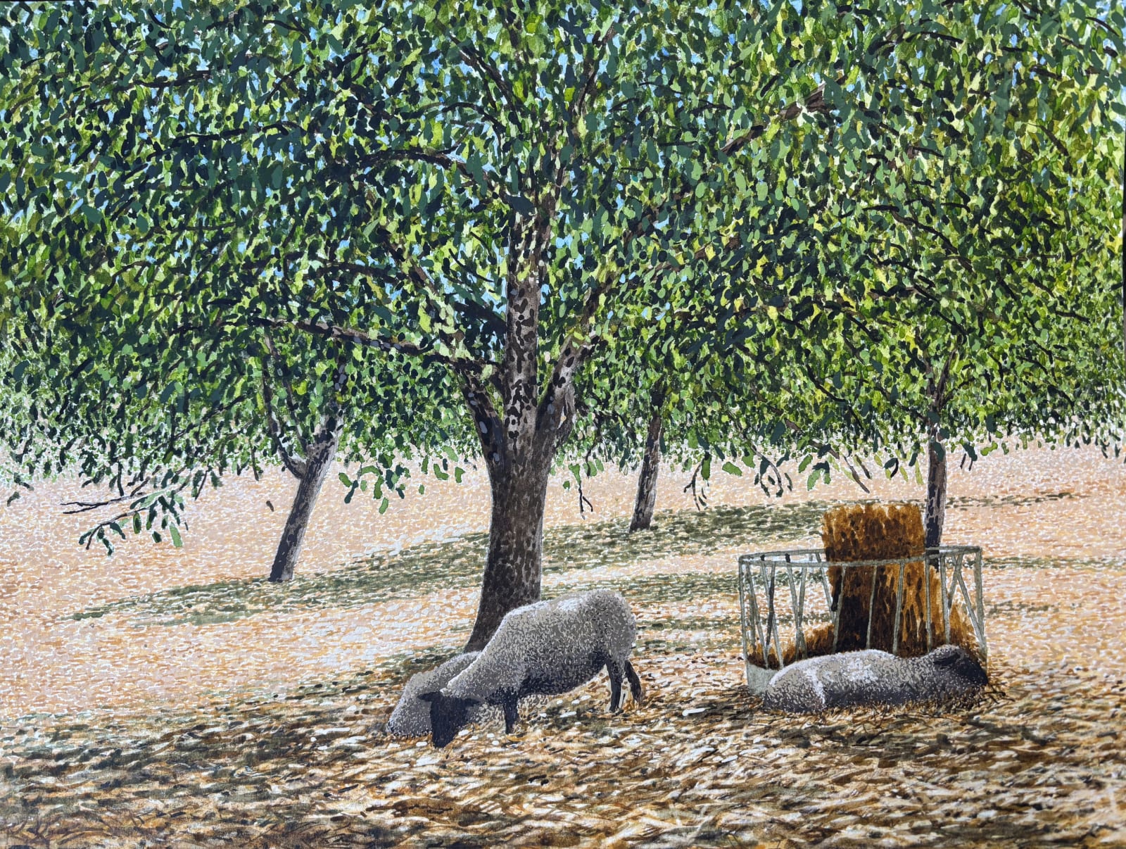 John Davies, Sheep on a Hot Day near St Martial de Viveyrol, Dordogne, August 2023