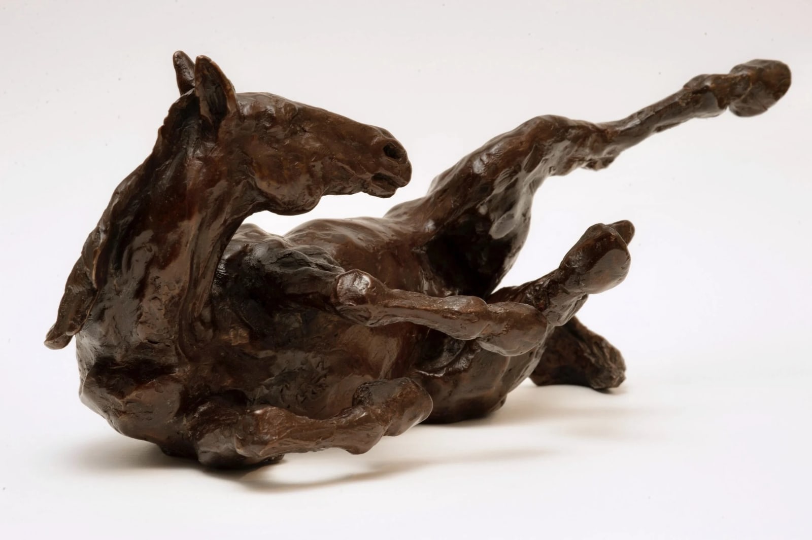 Claire Verity, Horse Rolling, VER III