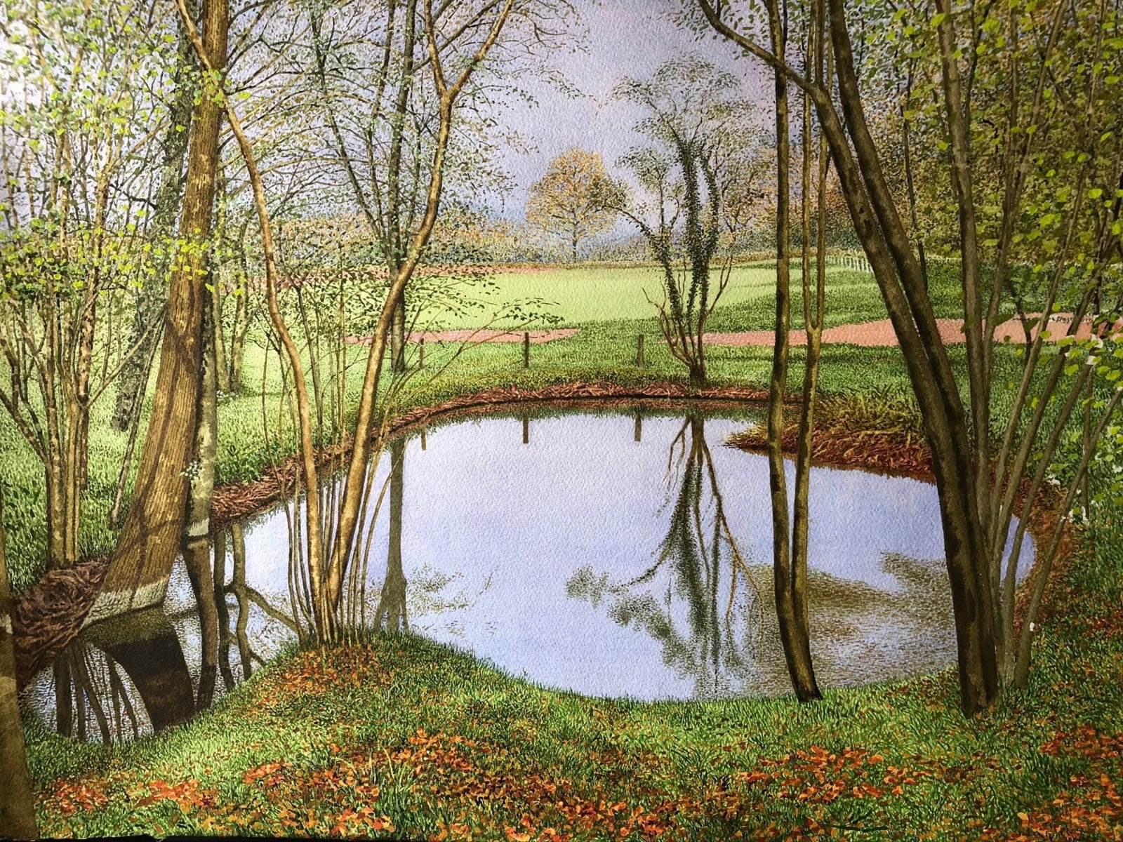 John Davies, Natural Pond at Lemington Lakes (I), April 2020