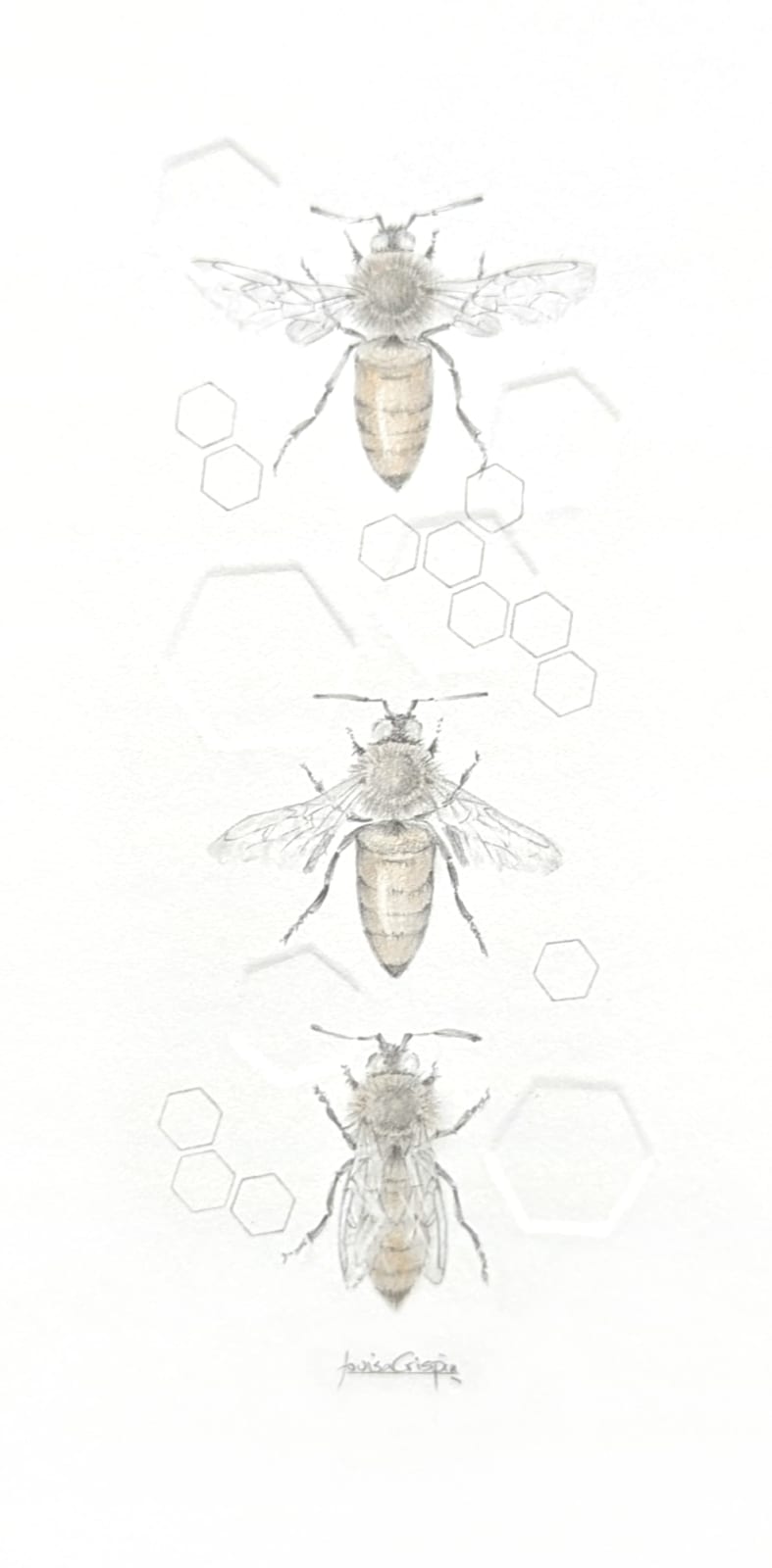 Louisa Crispin, Honey Bee 3.42e