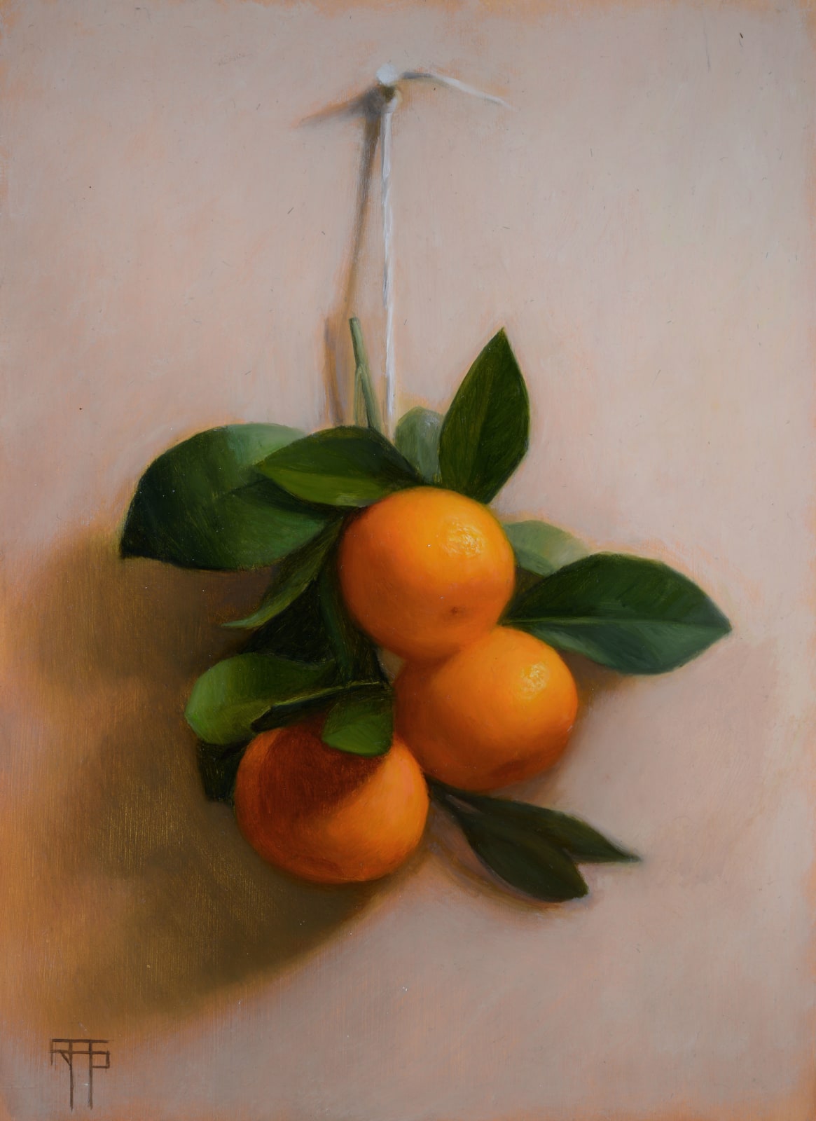 Raquel Alvarez Sardina MA SWA, Calamondins