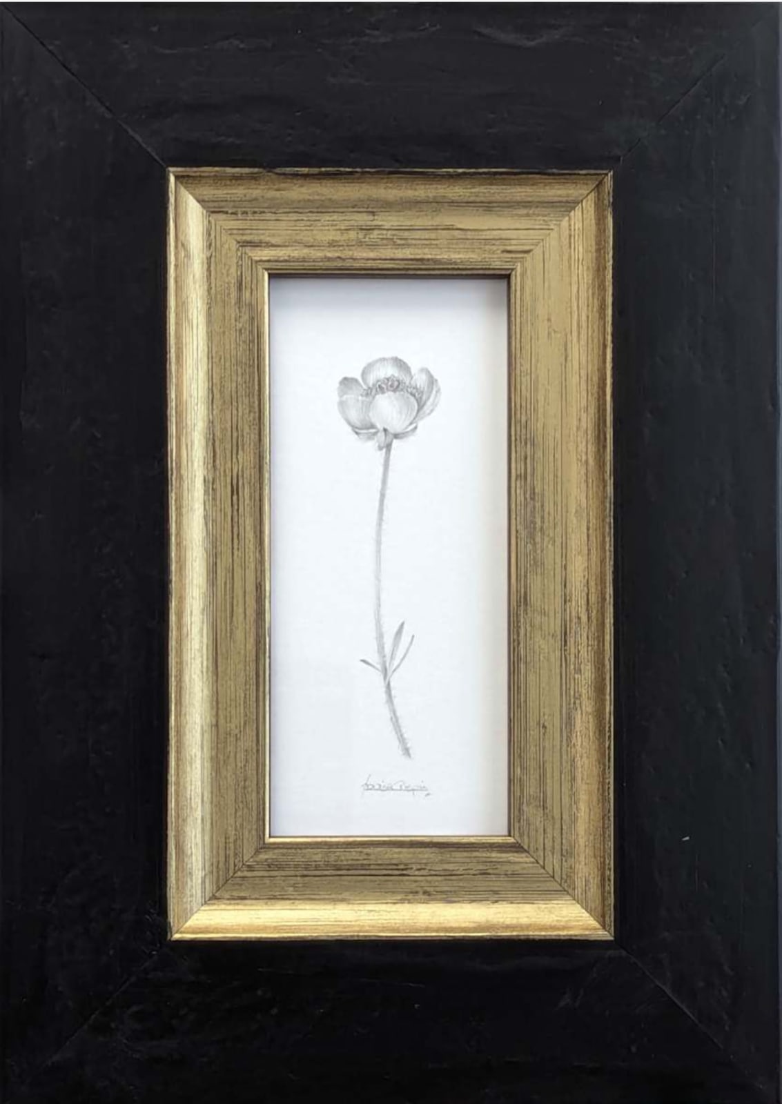 Louisa Crispin, Buttercup (BU004)