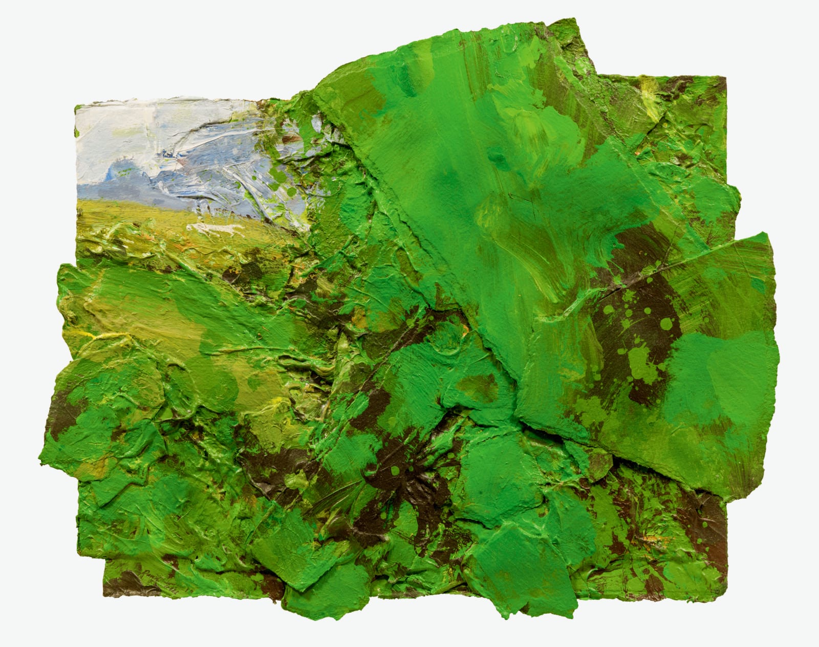 David Tress, I Had Forgotten the Green (Roundway Hill), 2019