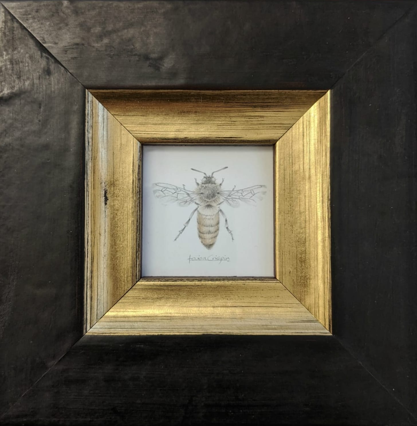 Louisa Crispin, Honey Bee (HB002)