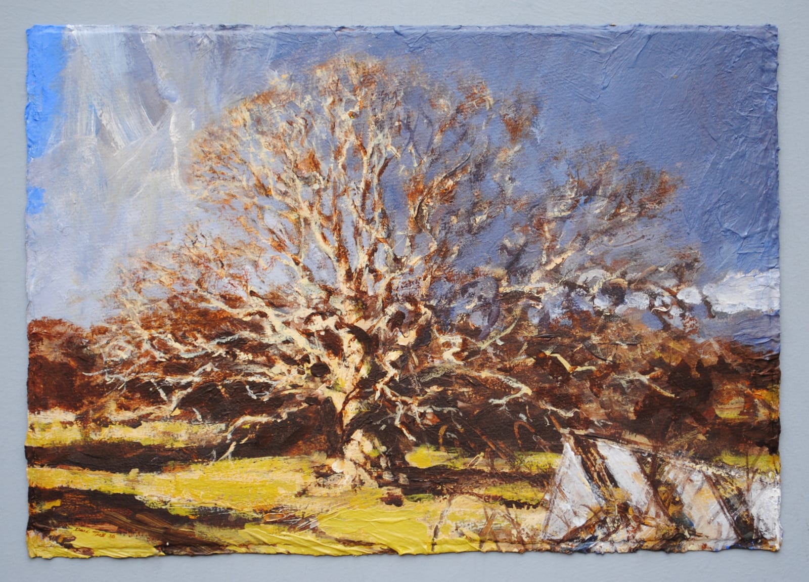 David Tress, Winter Oak. Right Bend, 2020