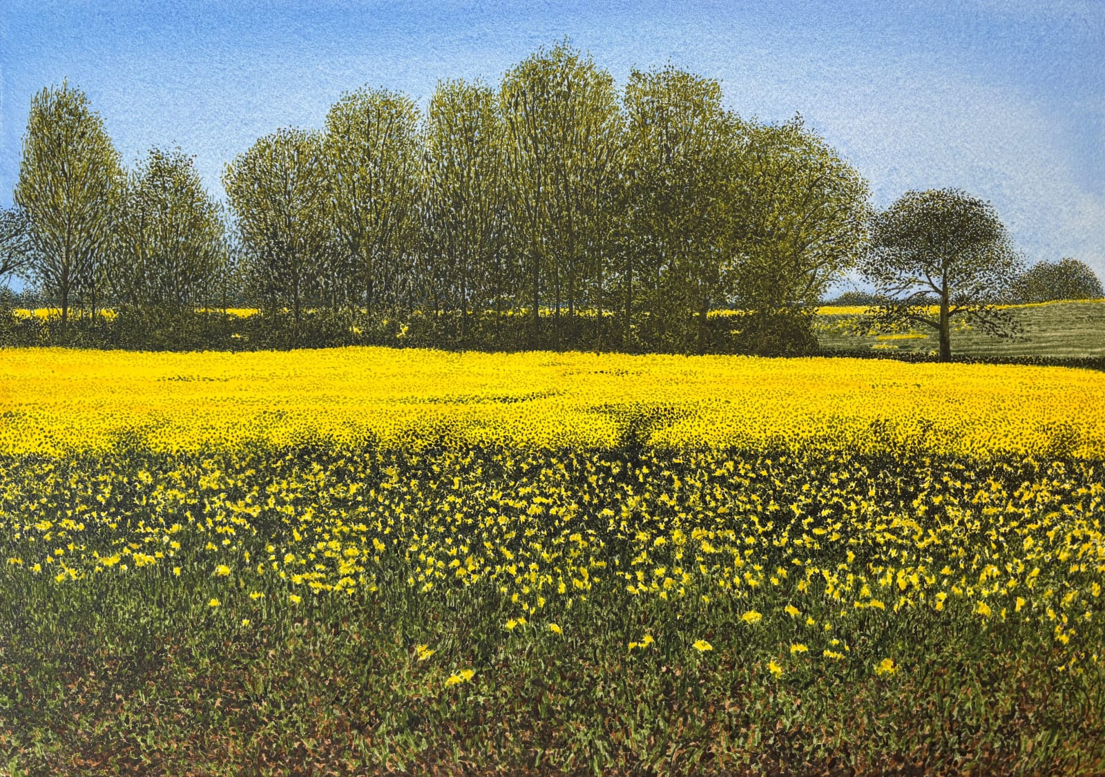 John Davies, A Field of Rape near Long Compton, Warwickshire